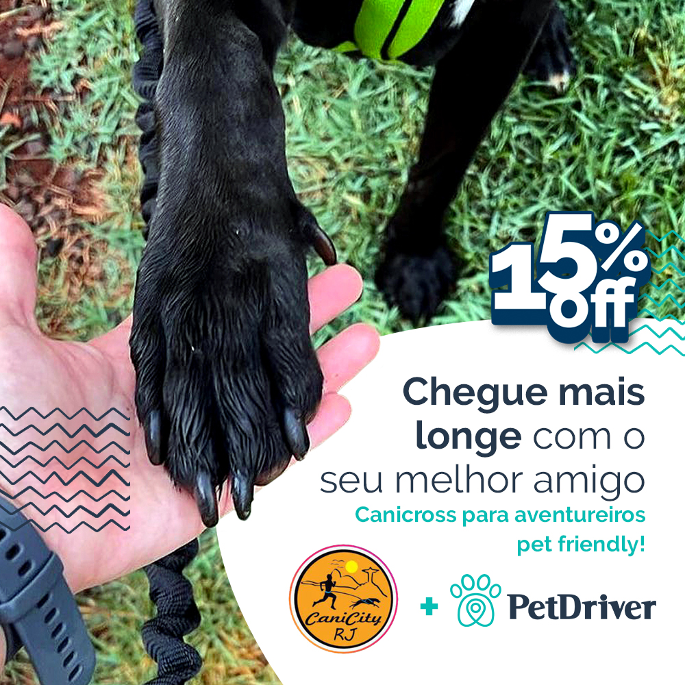 Seu auventureiro com você em todos os momentos