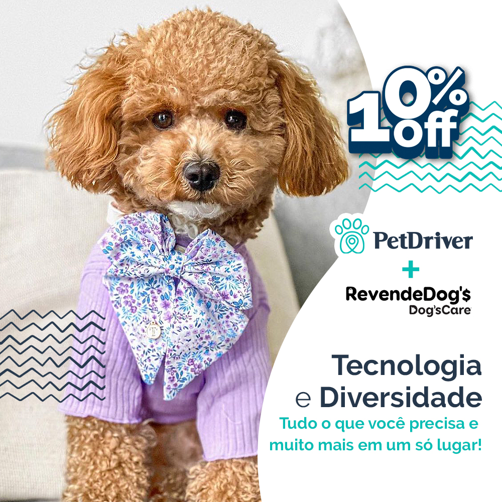 Parceiro RevendeDog’s: Cuidados inovadores com o universo do seu pet