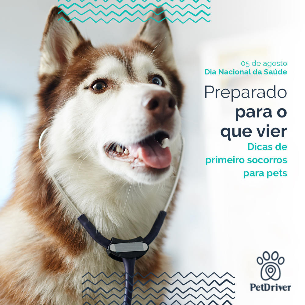 Sua ação rápida faz toda a diferença