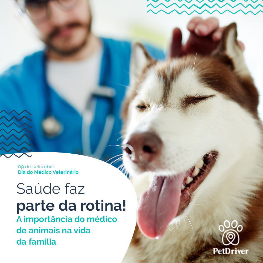 Cuidados que vão além do amor e carinho