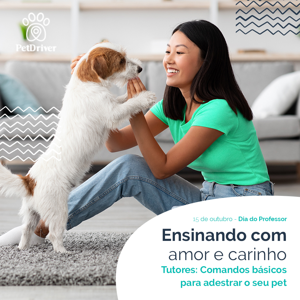 O melhor professor do seu pet é você!