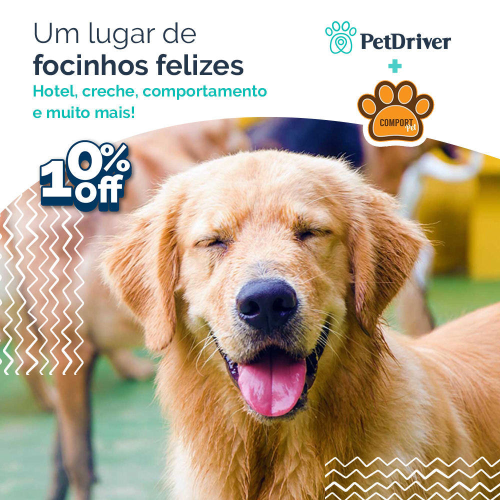 Parceiro Comportpet: Um lugar mágico para o seu peludo