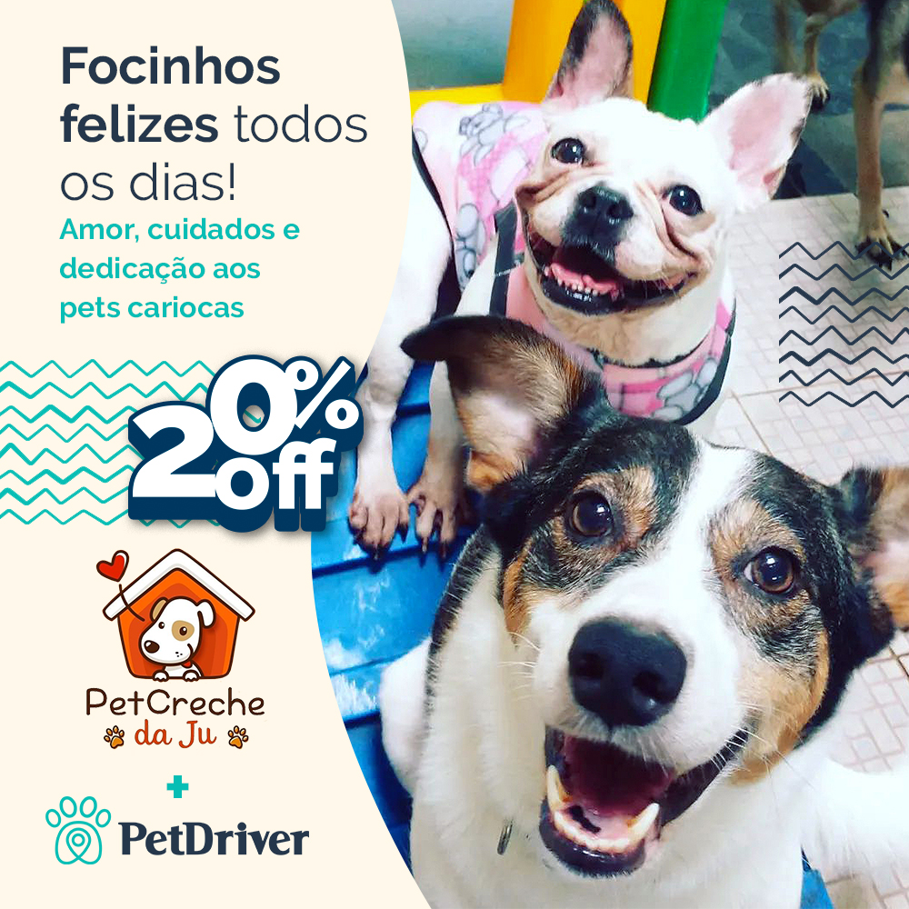 Parceiro Petcreche da Ju. Muito amor em cada detalhe