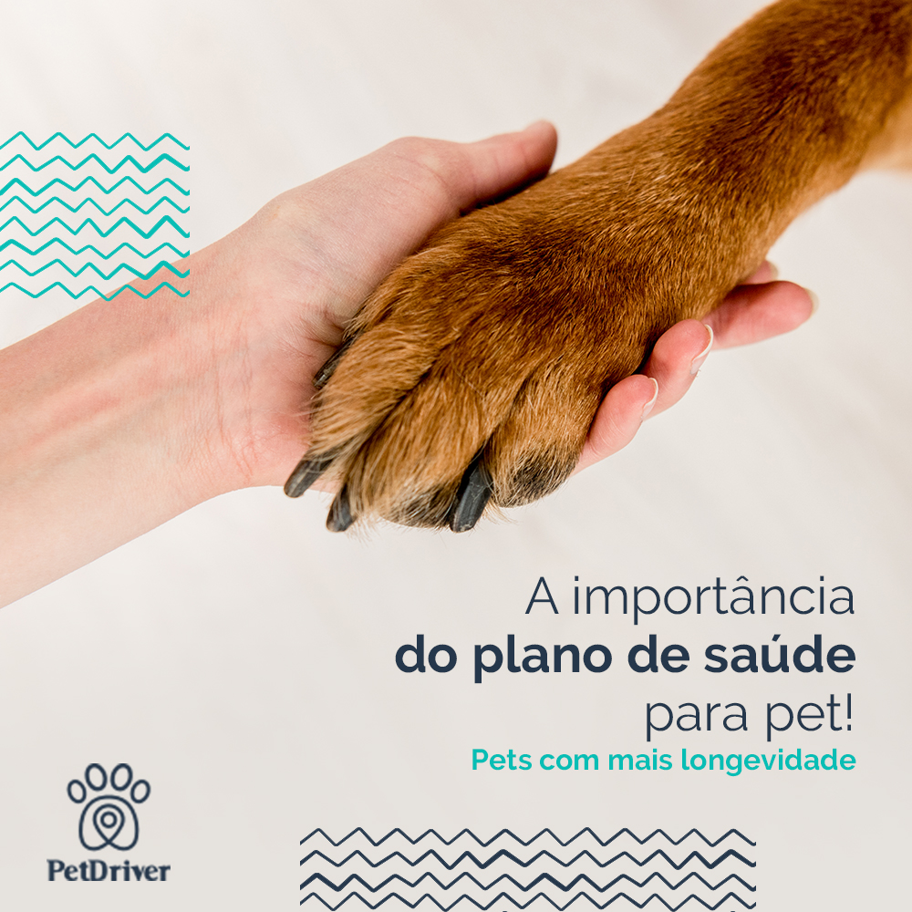 Saúde garantida para que o seu pet viva muito!