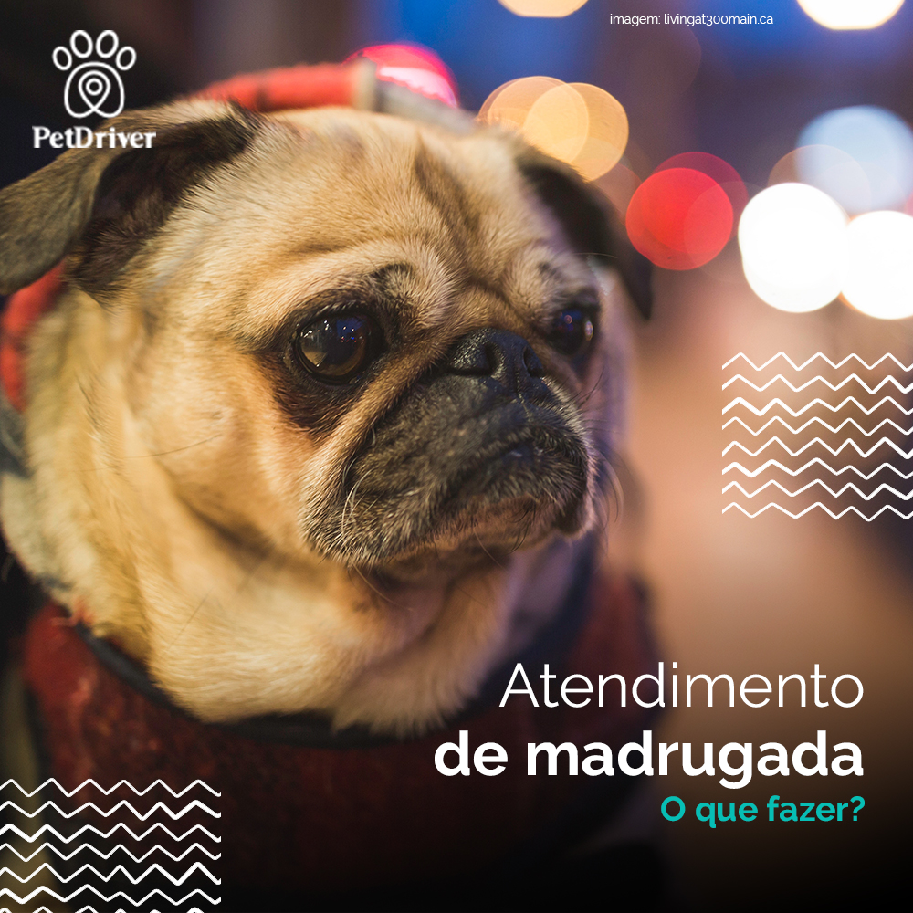 <strong>Atendimento de madrugada, como procedemos?</strong>