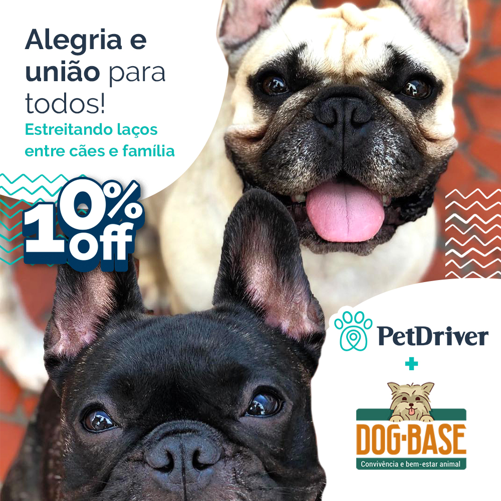 <strong>Parceiro Dog Base: Unindo cães e família com muito amor e alegria</strong>