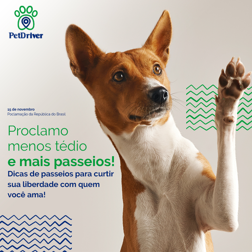 <strong>Proclamamos mais passeios e mais diversão!</strong>