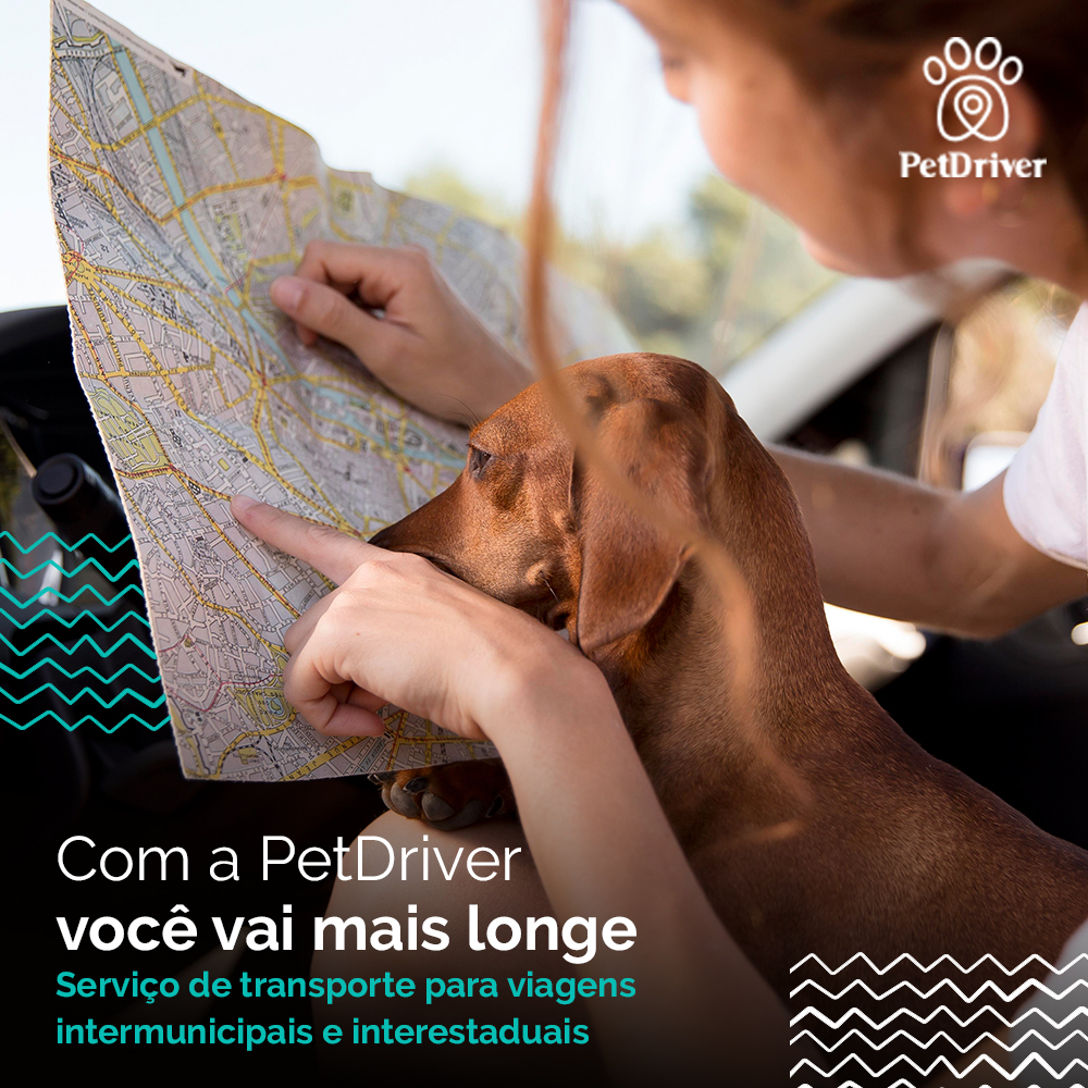 <strong>Você e seu peludo vão mais longe com a PetDriver</strong>