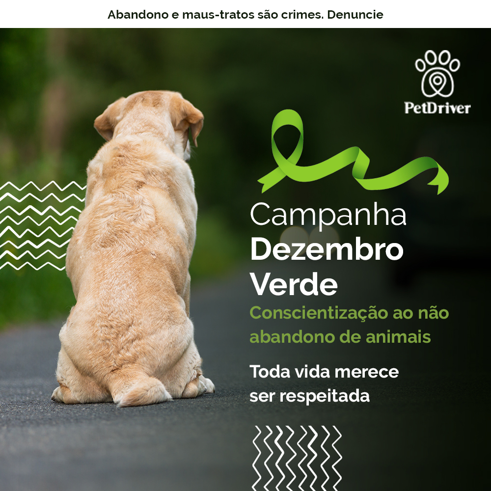 <strong>Campanha Dezembro Verde: Toda vida importa, não abandone!</strong>