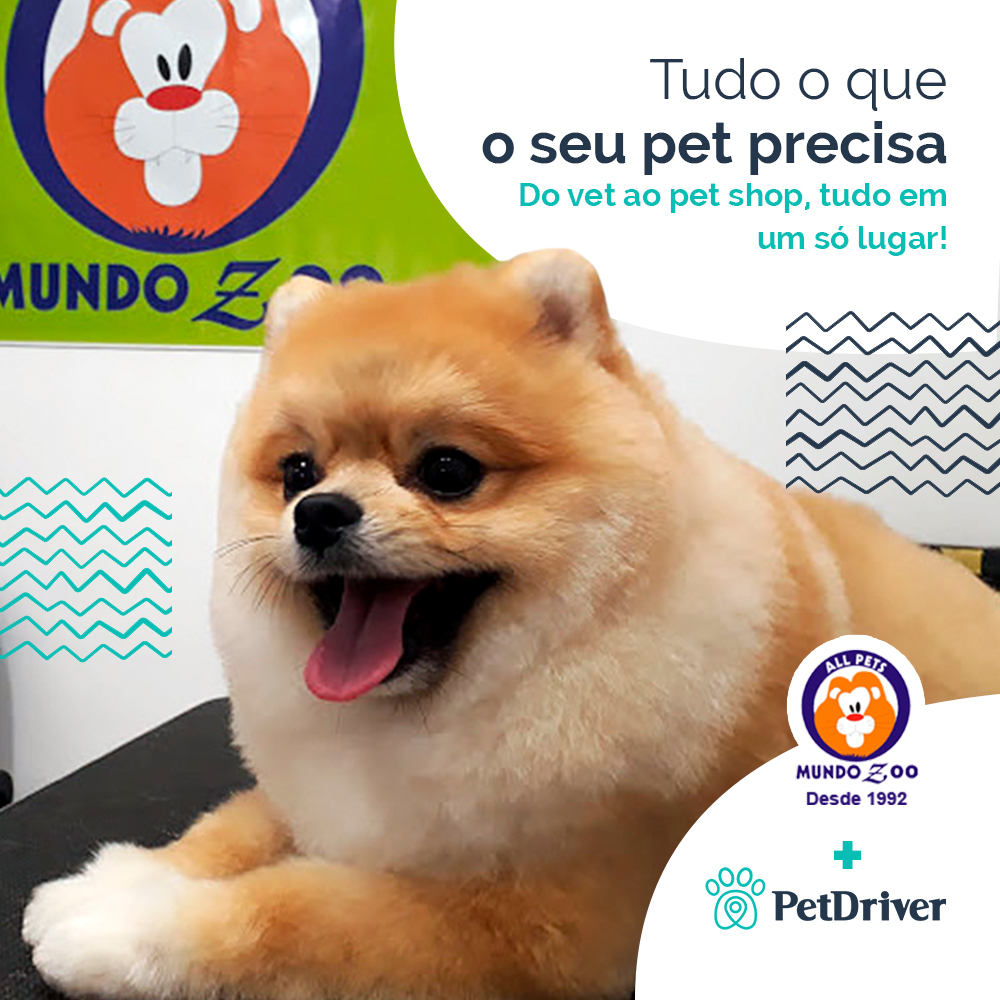 <strong>Tudo o que o seu pet precisa em um só lugar no Morumbi</strong>