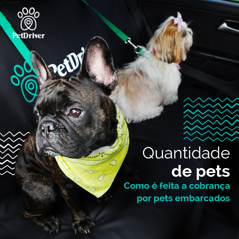<strong>Quantidade de pets e a precificação da corrida</strong>
