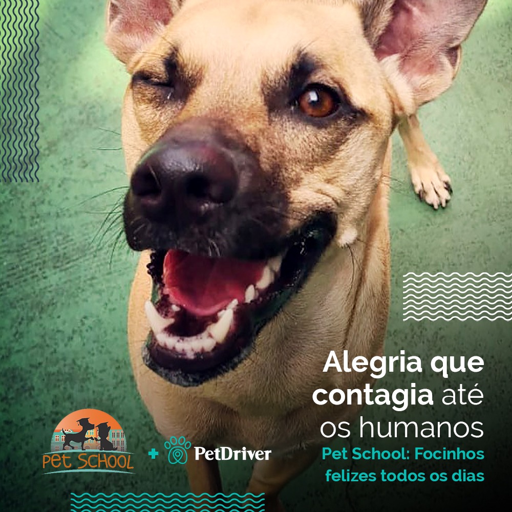 <strong>São Paulo nunca foi tão mágico!</strong>