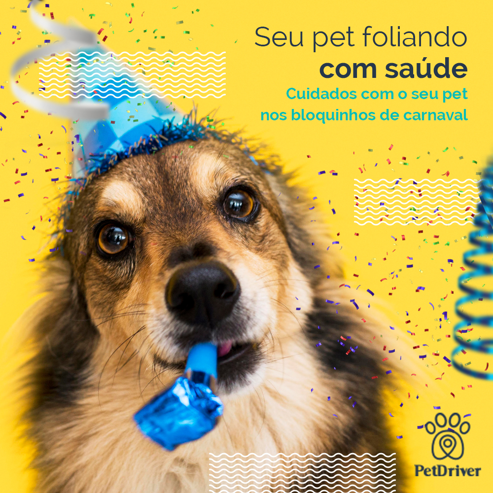 <strong>Seu pet na folia com você!</strong>