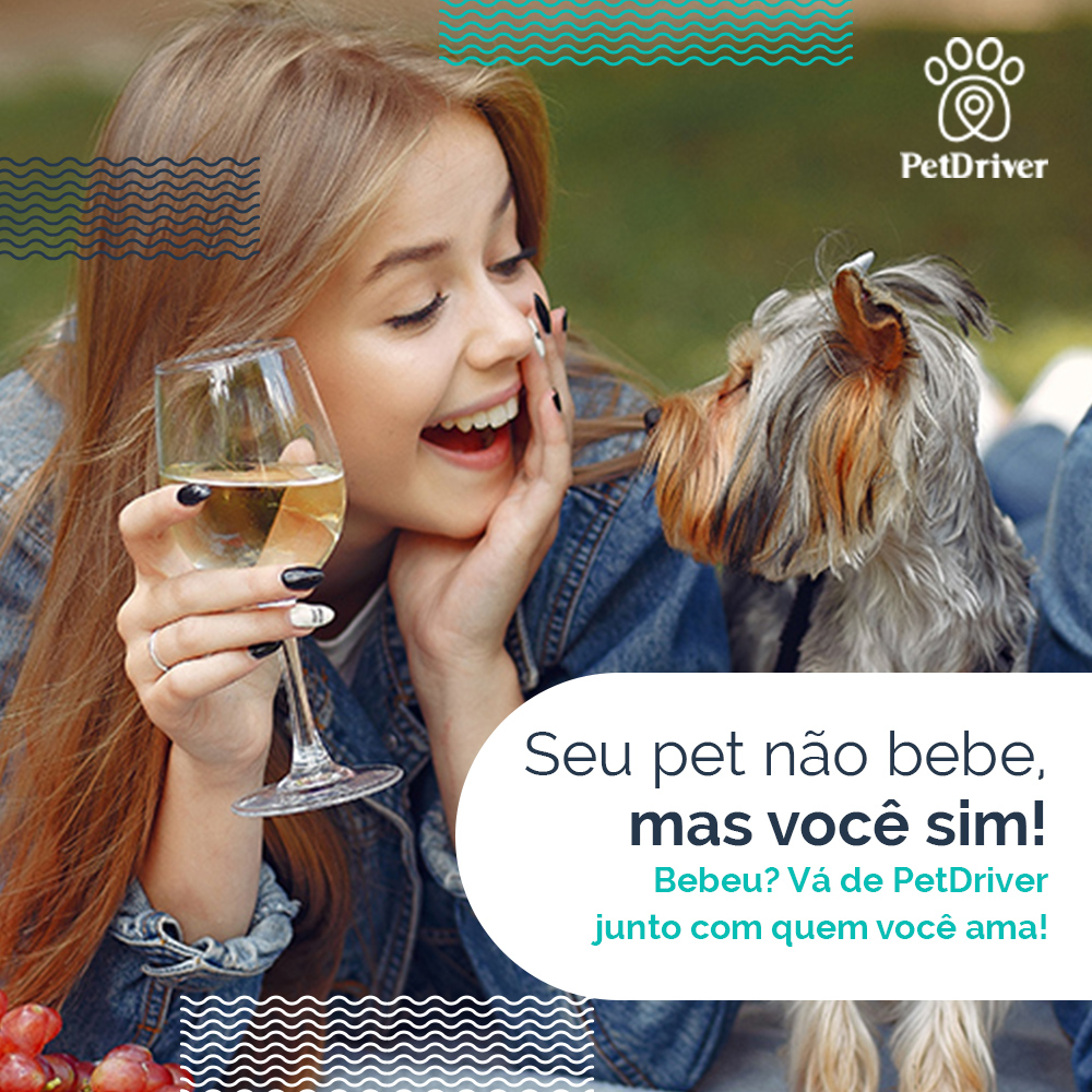 <strong>Seja responsável! A PetDriver garante uma viagem segura para pets e tutores!</strong>