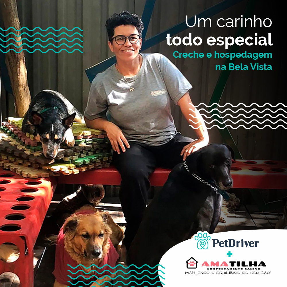 <strong>O seu peludo recebido com todo o carinho do mundo</strong>