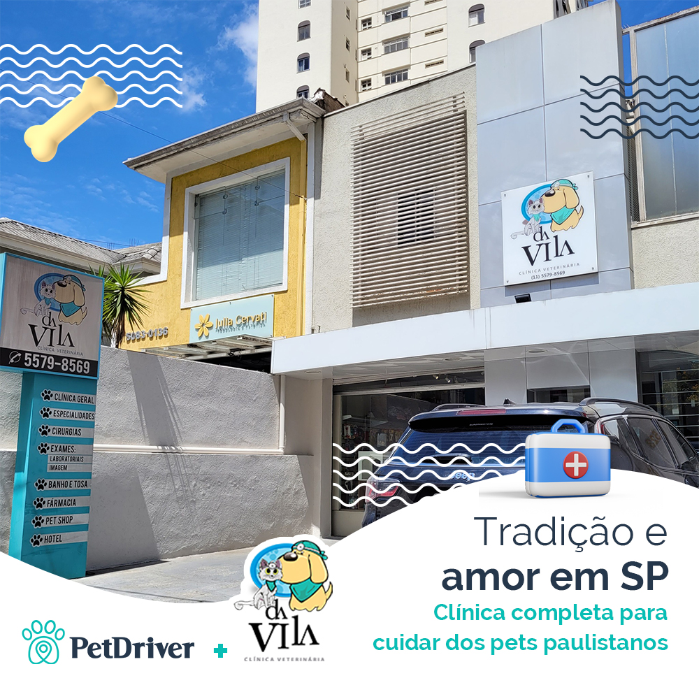 <strong>O porto seguro do seu pet na Vila Mariana</strong>