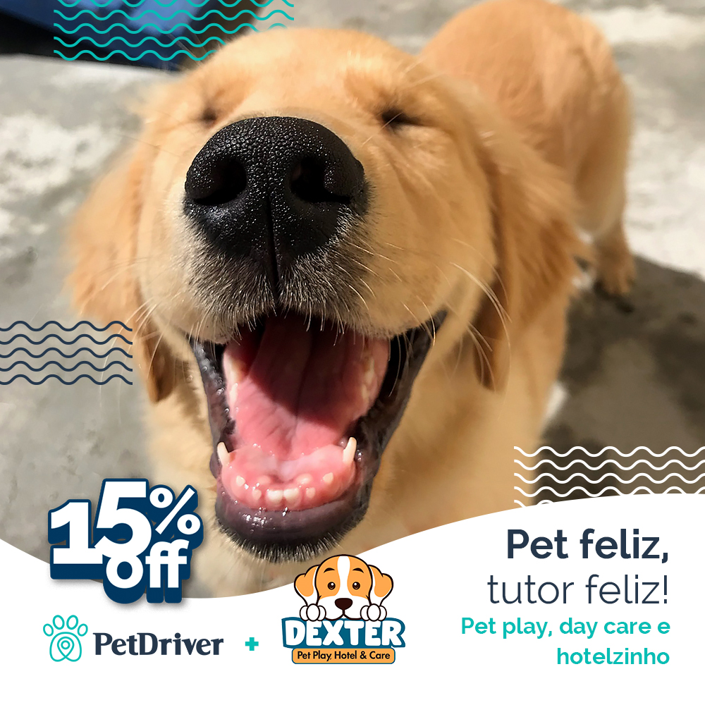 <strong>Um lugar de energia, alegria e muito amor pelo seu peludo!</strong>