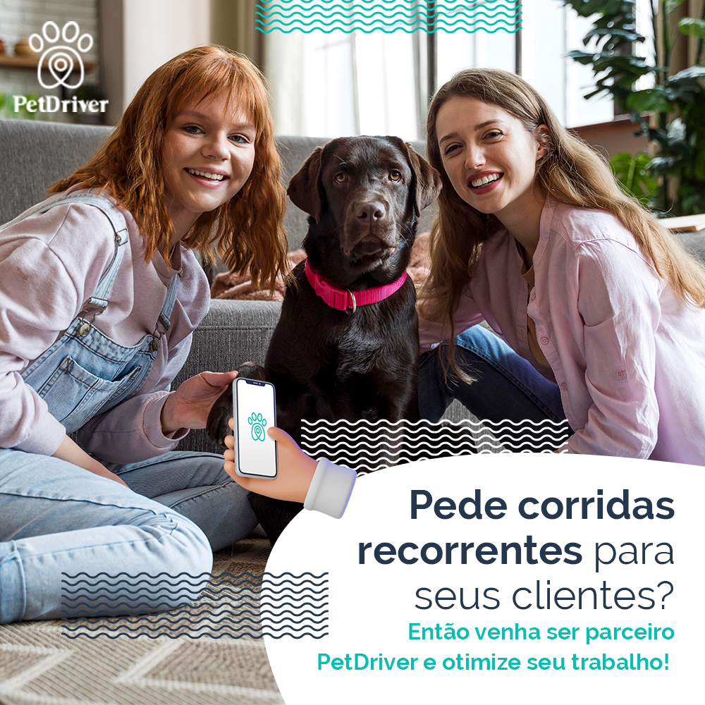 <strong>Você solicita corridas da PetDriver para seus clientes?</strong>