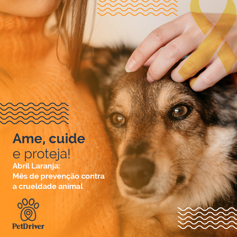 Não descarte animais como objetos