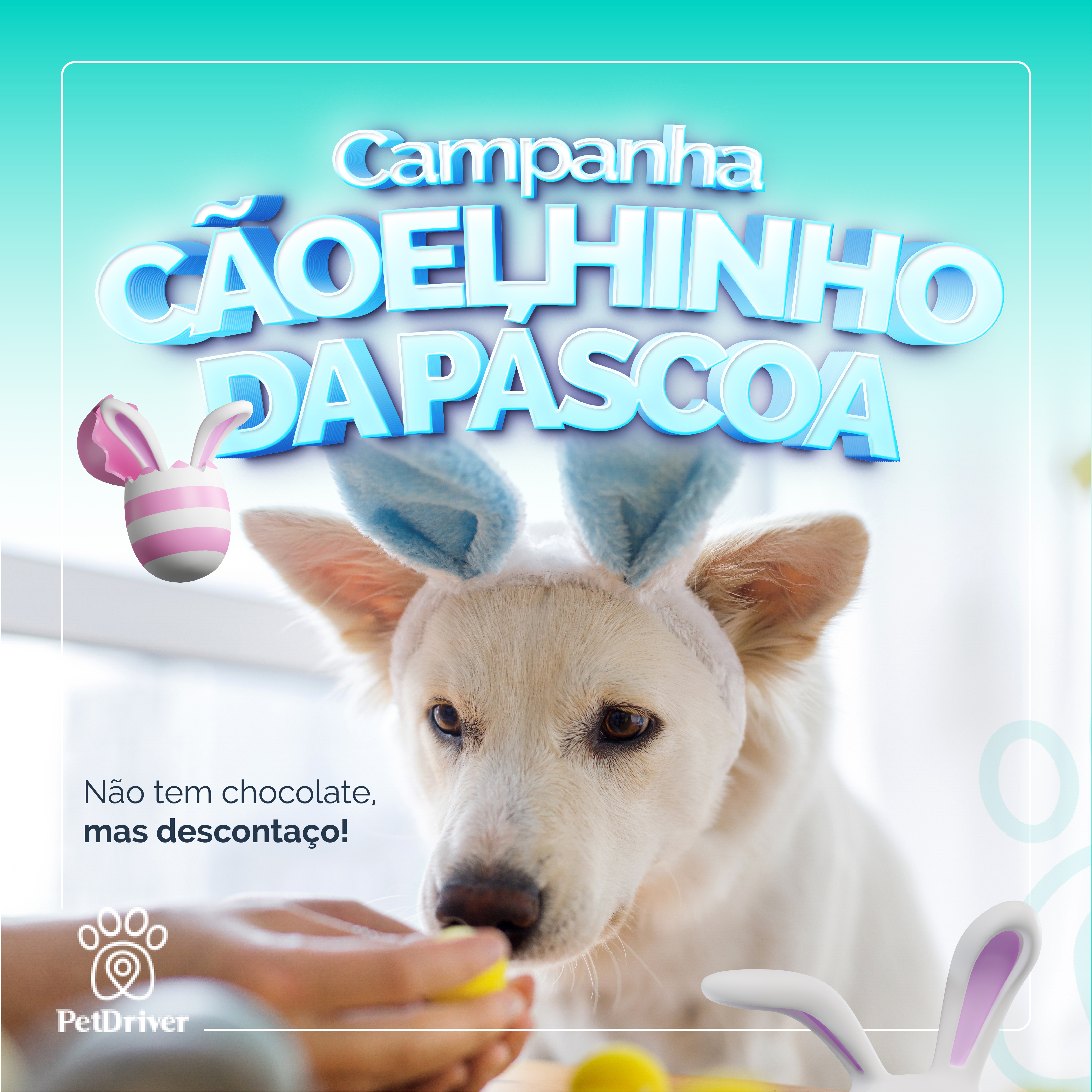 Campanha Cãoelhinho da Páscoa!