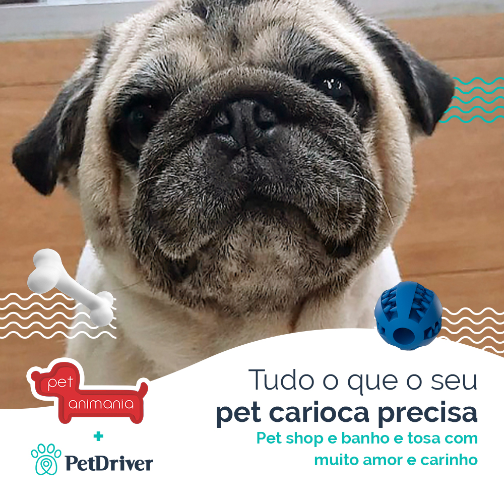 Tudo para o dia a dia do seu pet carioca