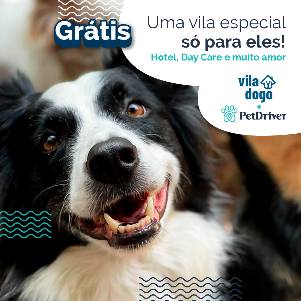 Uma vila inteira só para eles!