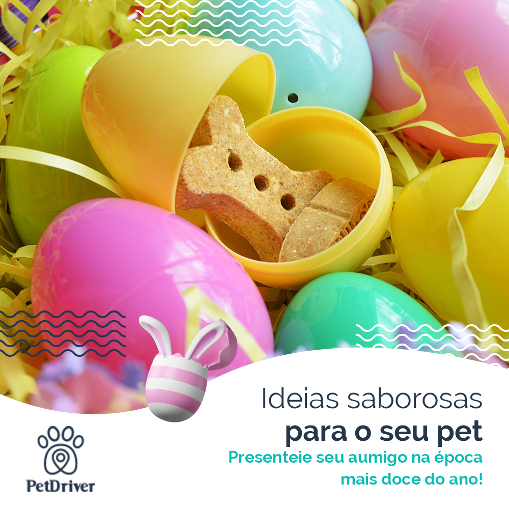 Ideias saborosas para o seu cãoelhinho!