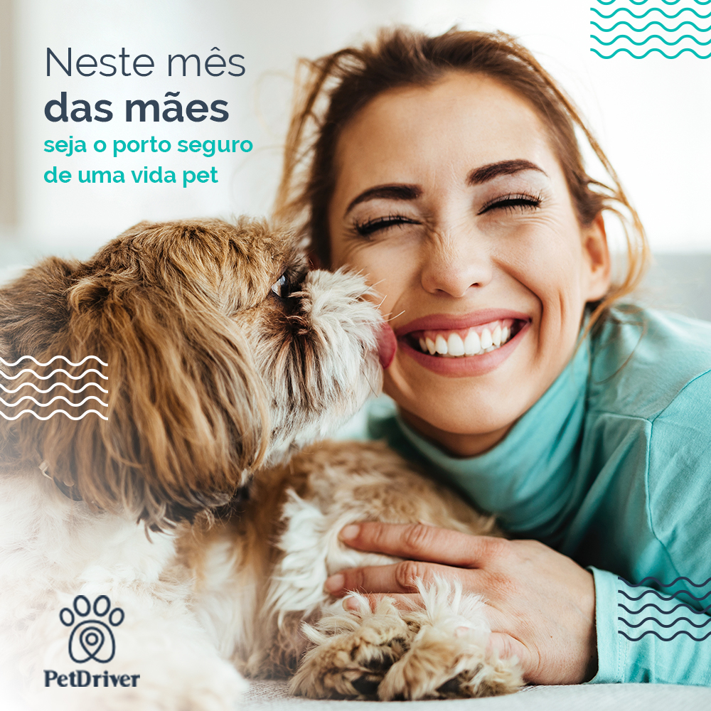 No mês das mães, seja um porto seguro para vidas pets