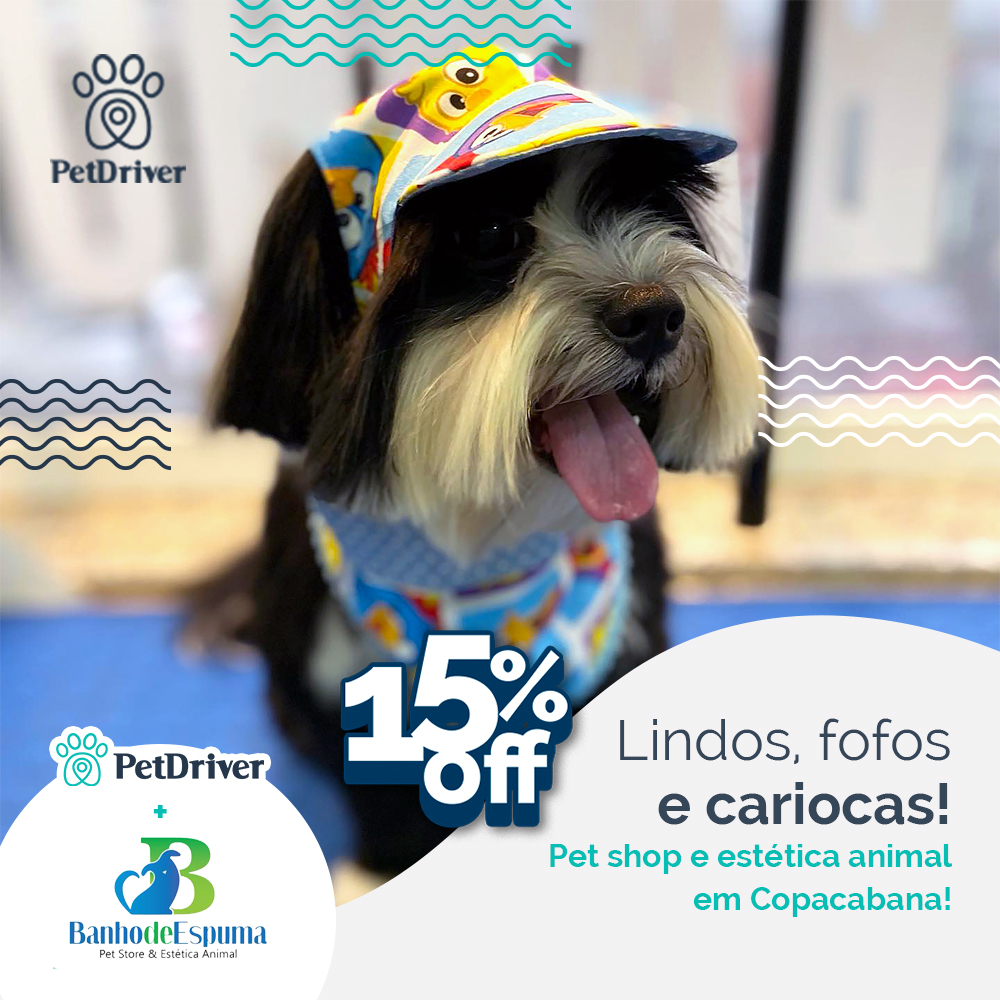 Eles são fofos, eles são amorosos, eles são cariocas!