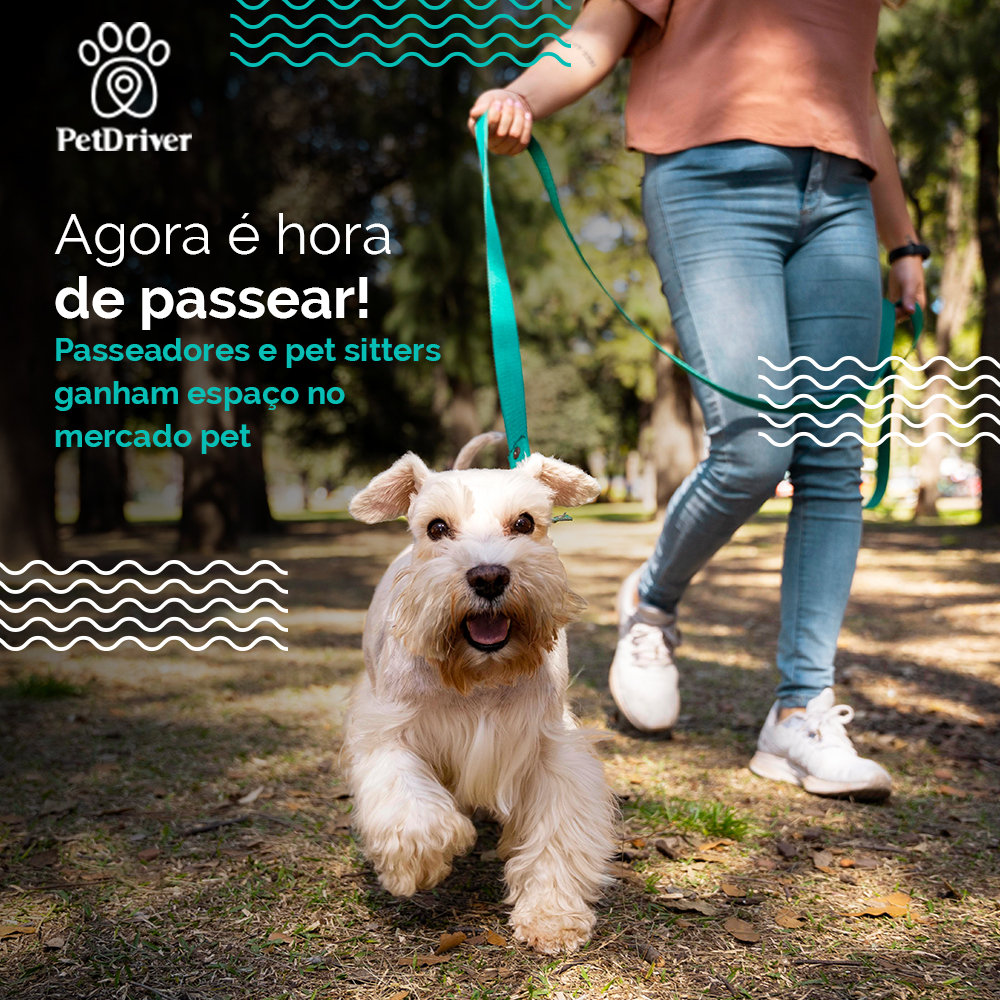 Seu peludo precisa de atenção, mas nem sempre precisa ser a sua!