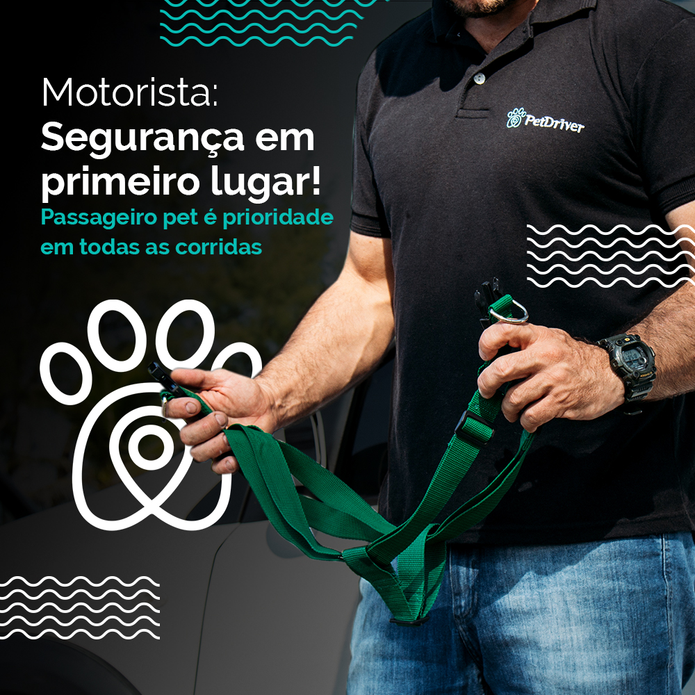 Motorista: A segurança do passageiro pet em primeiro lugar