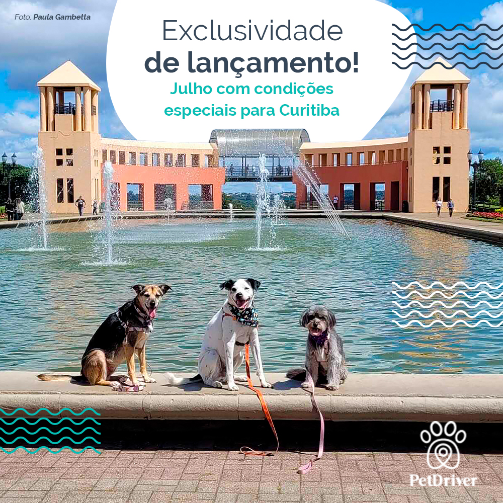 Exclusividade de lançamento para Curitiba!