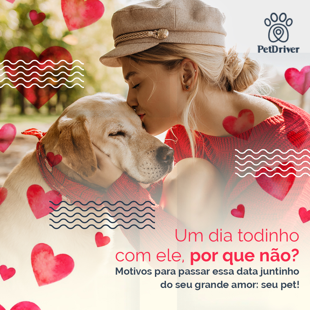  Dia dos Namorados com o maior amor da sua vida: seu pet