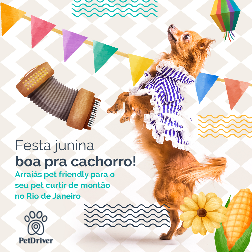 Festas cãoninas cariocas para o seu pet se divertir de montão!