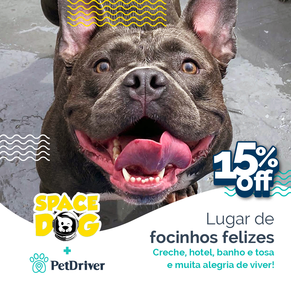 Focinhos que estampam alegria!