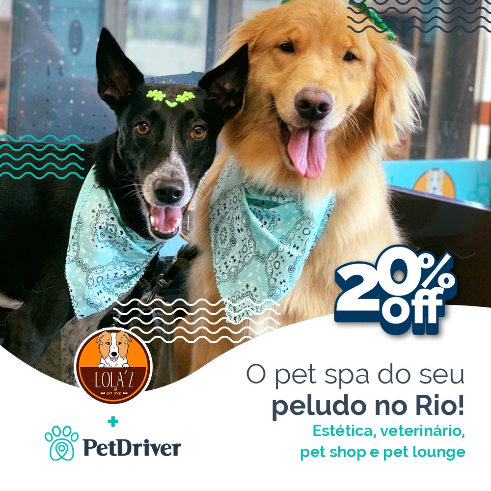 O pet spa do seu peludo no Rio