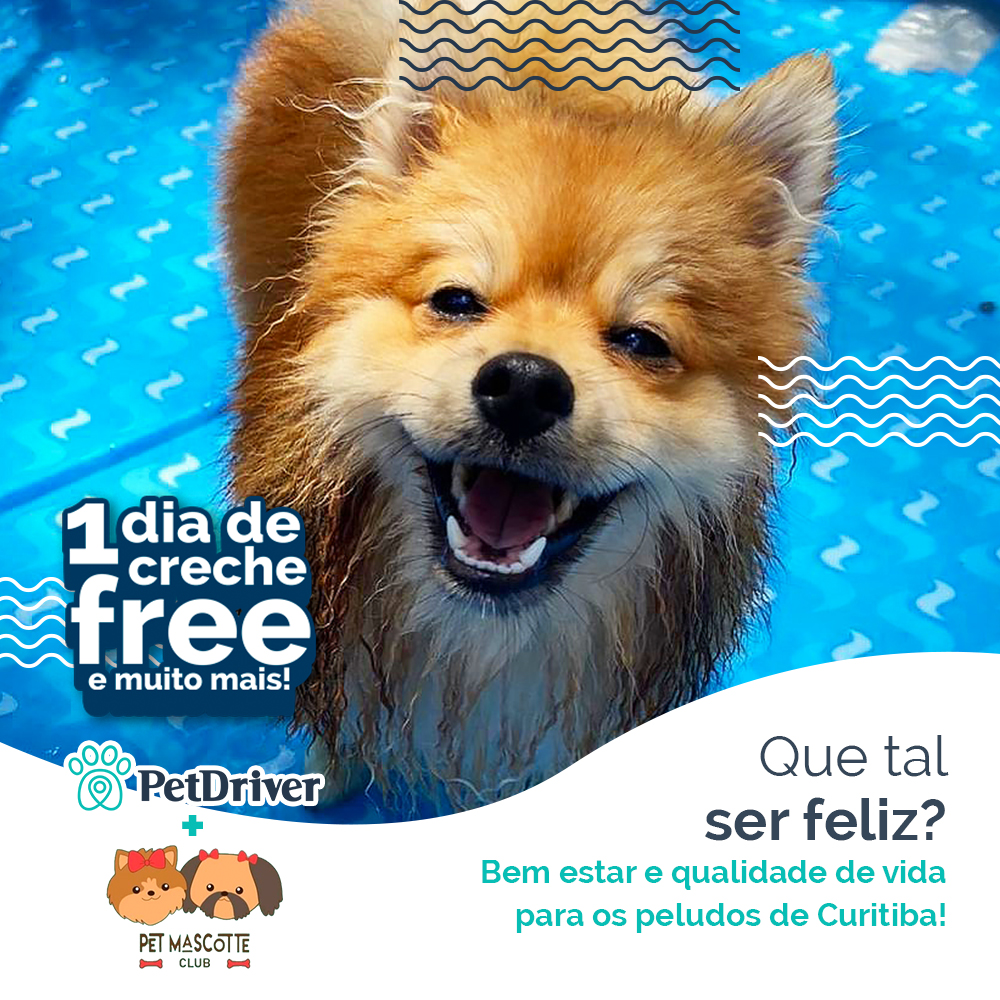 Bora fazer o seu peludo feliz?