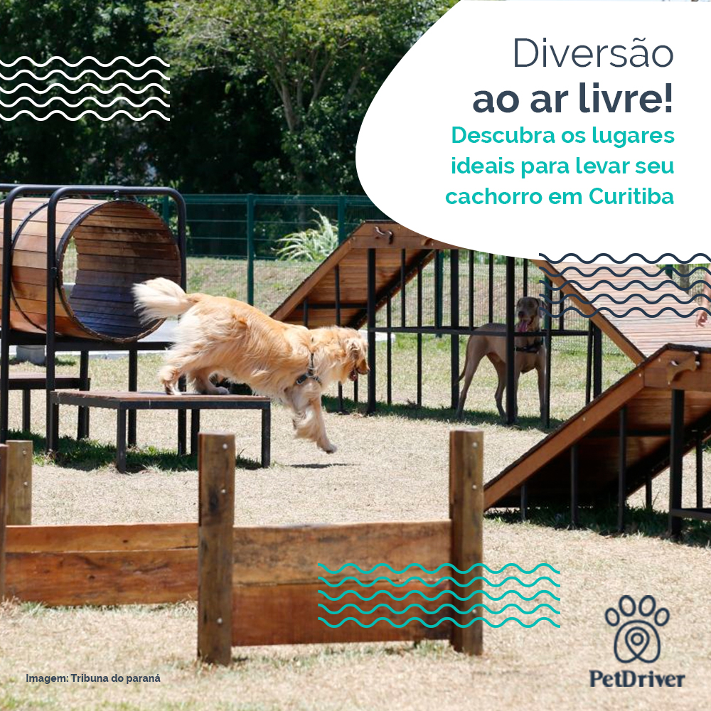 Explorando Curitiba com Seu Pet