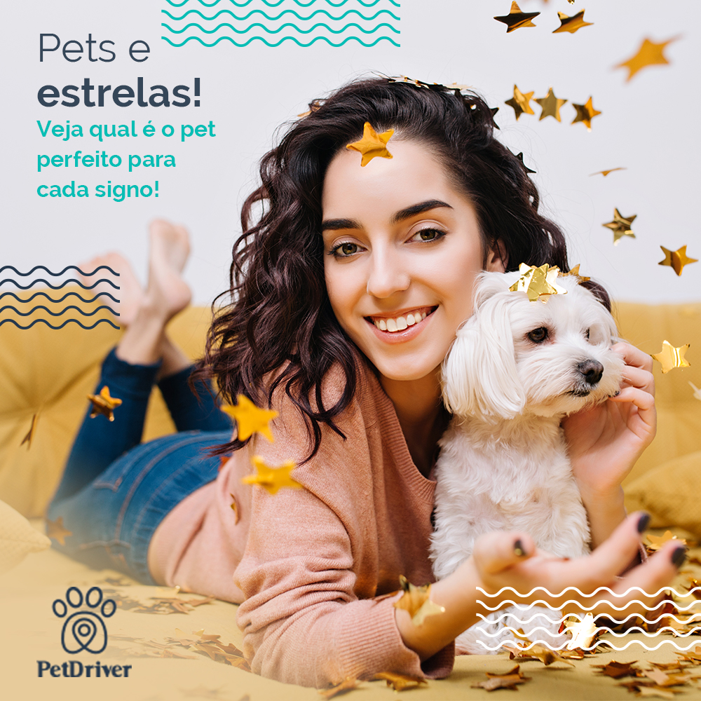 Os pets perfeitos para cada signo!