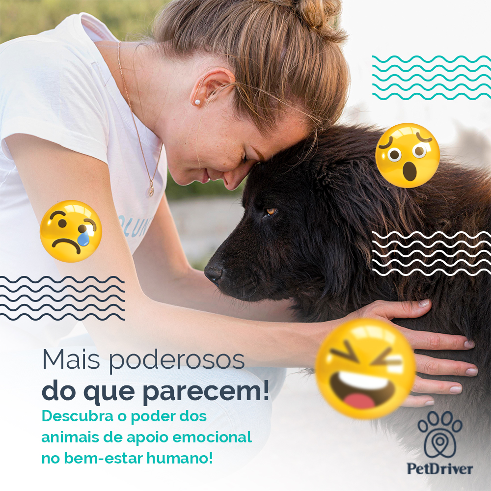 Animais com poderes especiais