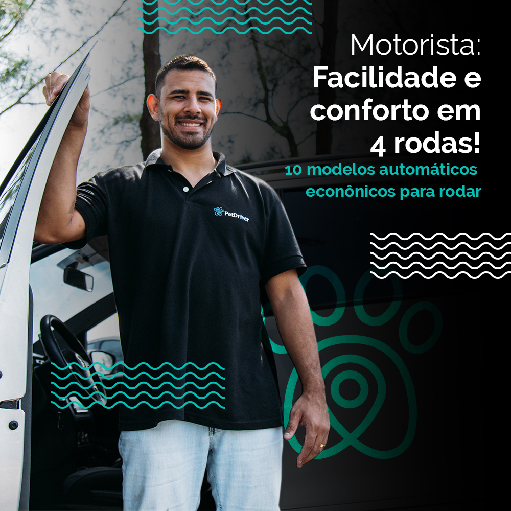 Facilidade e conforto em 4 rodas!