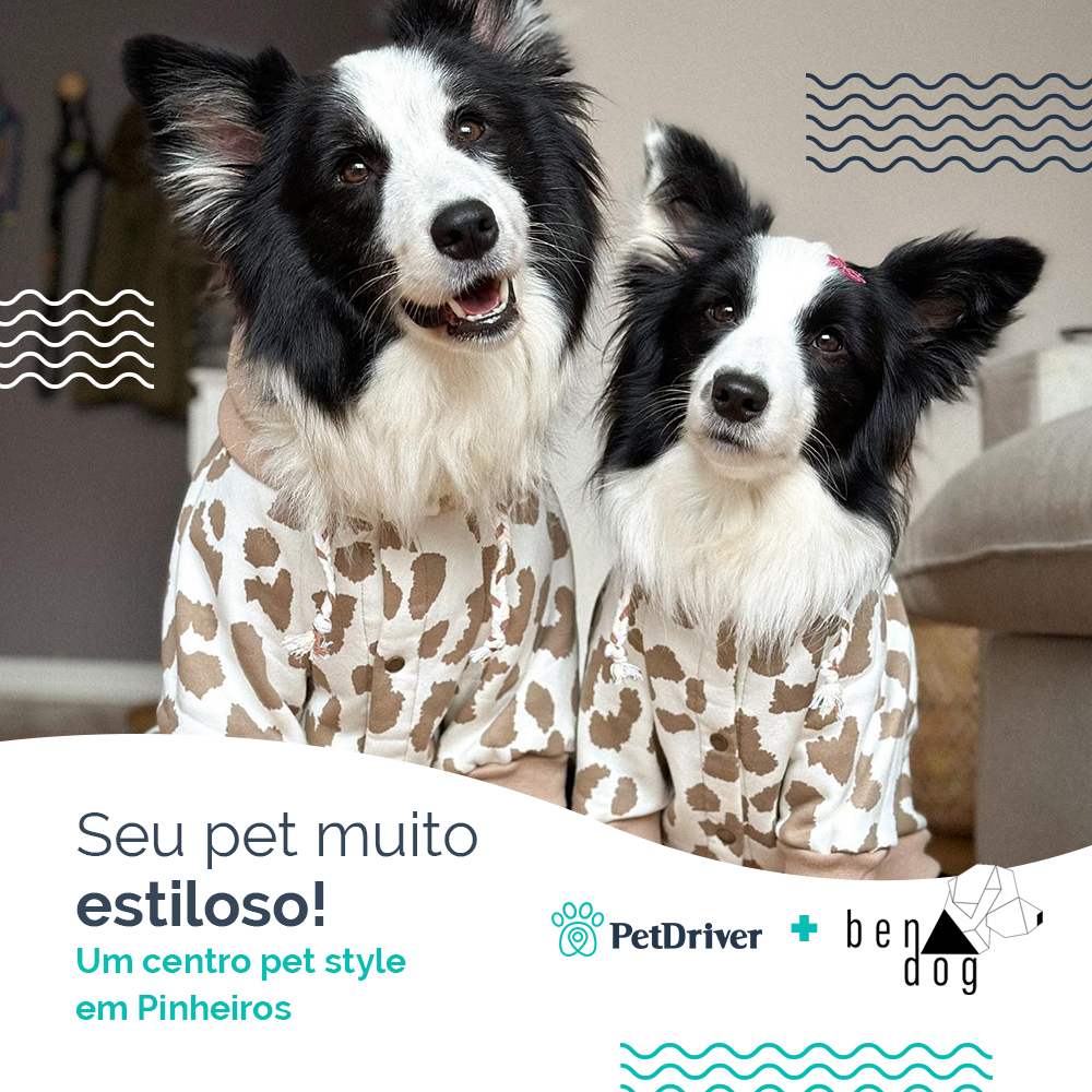 Seu pet super style pelas ruas de SP!