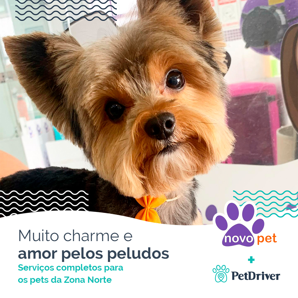 Tudo o que o seu pet precisa em um só lugar!