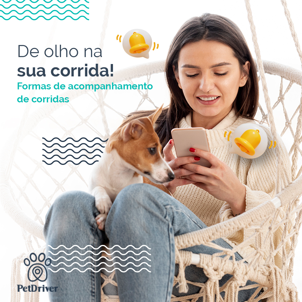 De olho na corrida! Formas de acompanhar seu PetDriver na palma da sua mão!