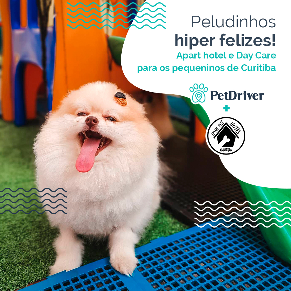 Seu pet hotel de estimação em Curitiba!