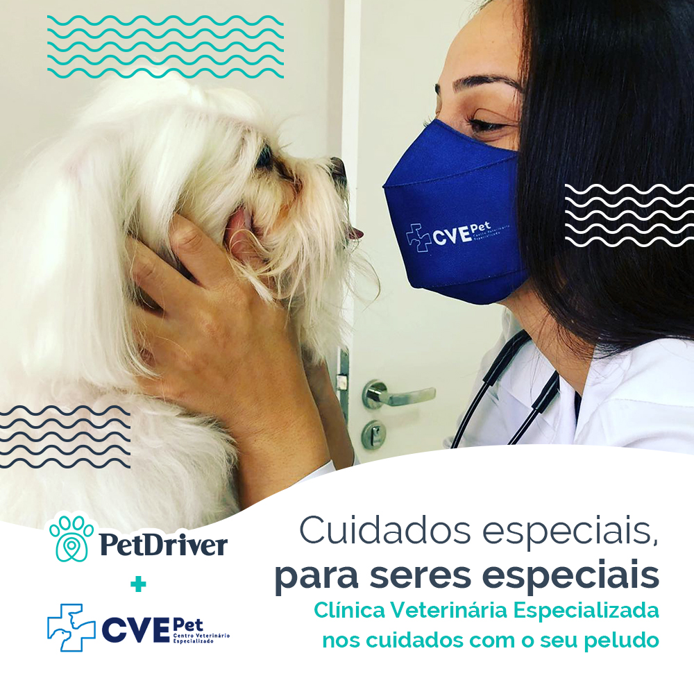 Cuidados especiais para seres especiais