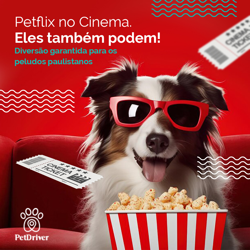 Sessão Pet Cinema! Porque eles também podem!