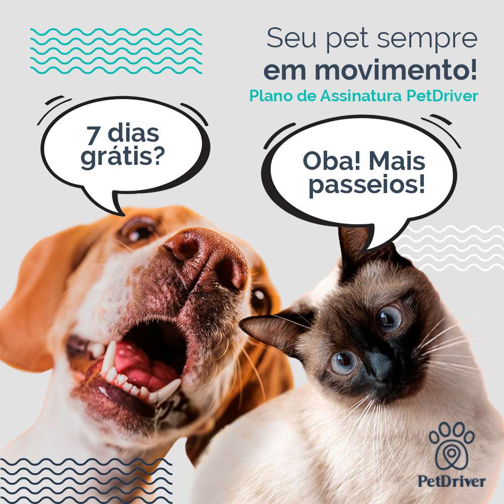 7 dias grátis + 20%OFF em cada corrida todo mês, que tal?