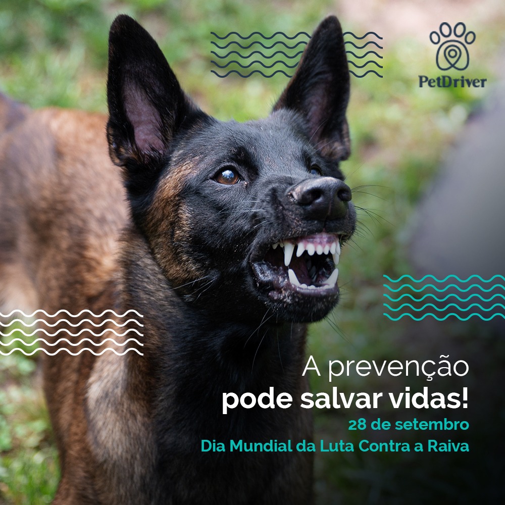 Seu ato de prevenção pode salvar a vida de muitos!