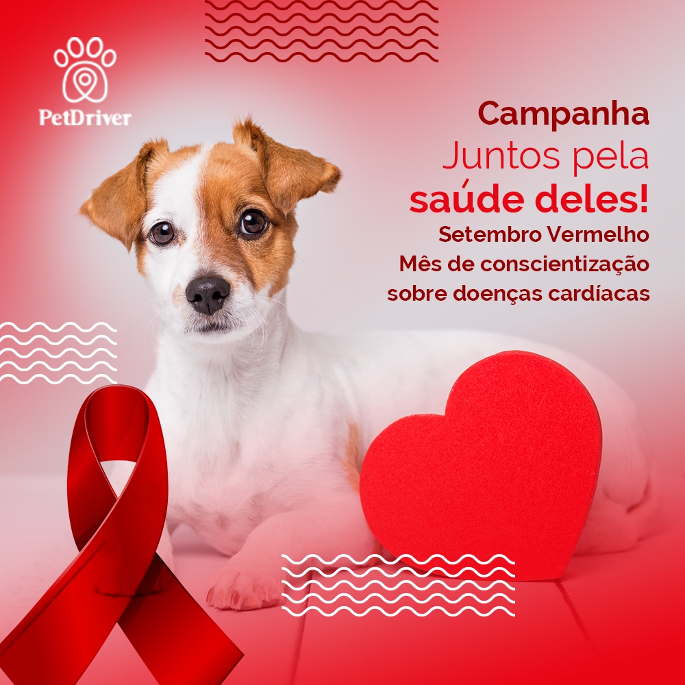 Vermelho de amor e de alerta! Como cuidar do coração do seu pet?